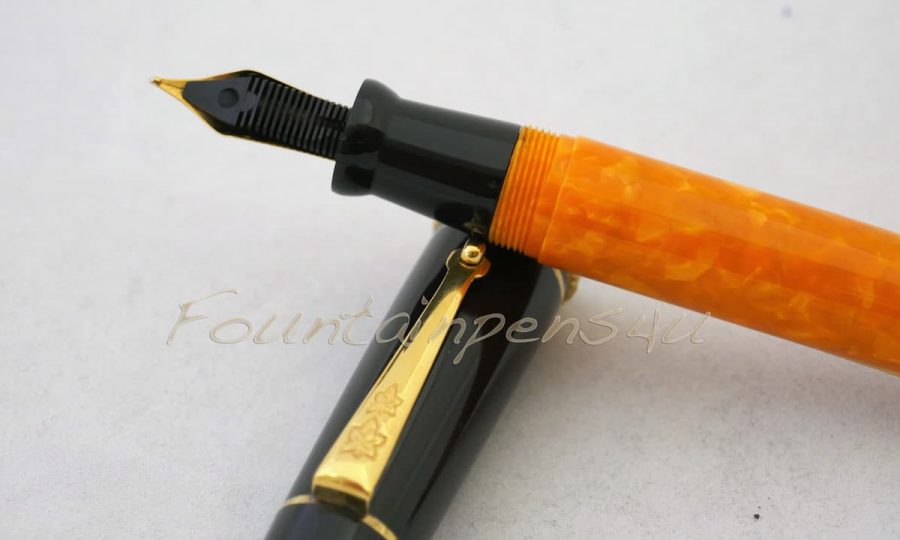 Colosseum Celebration